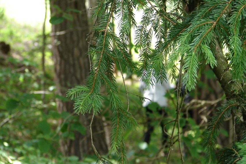 Outdoor-pädagogische Einheiten